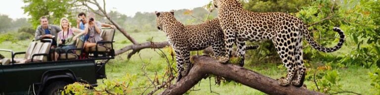 4 Day Private Chalet or Hotel Safari
